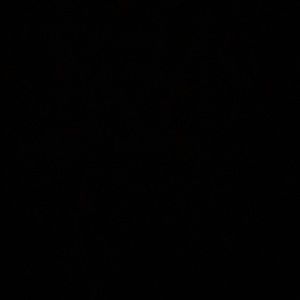 Fergalicous Peep Toe Booties size 8.5